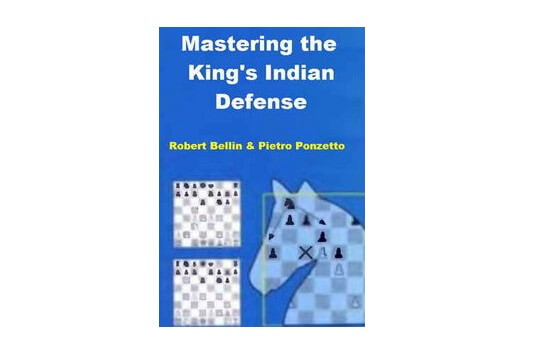 Luiz : Professor de xadrez. Rating rápidas no Lichess: 1650 a 1750