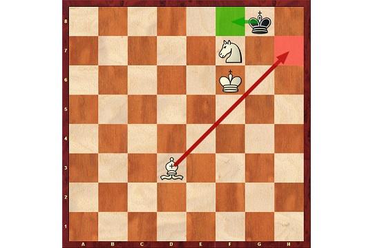 Completely winning position. The engine on my phone thinks I should move  the bishop out of the way, and doesn't see the mate. : r/chess