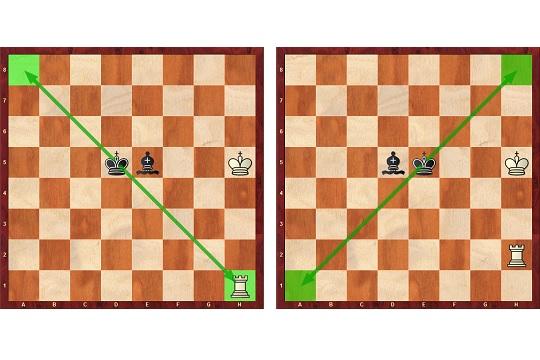 O Rei Branco Da Xadrez Pôs O Checkmate Para Enegrecer O Rei