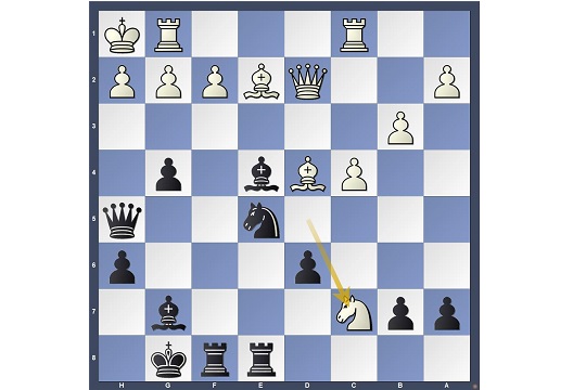 Partidas de xadrez: Tseshkovsky x Kasparov